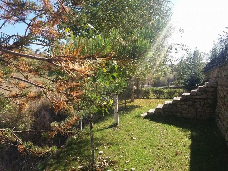 Vila118 Voskopojë Esterno foto